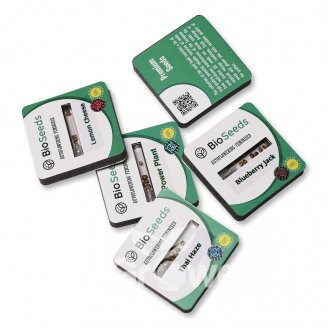 Семена марихуаны сорт Dos-Wi-Dos Auto Fem. Семена марихуаны сорт Dos-Wi-Dos Auto Fem.