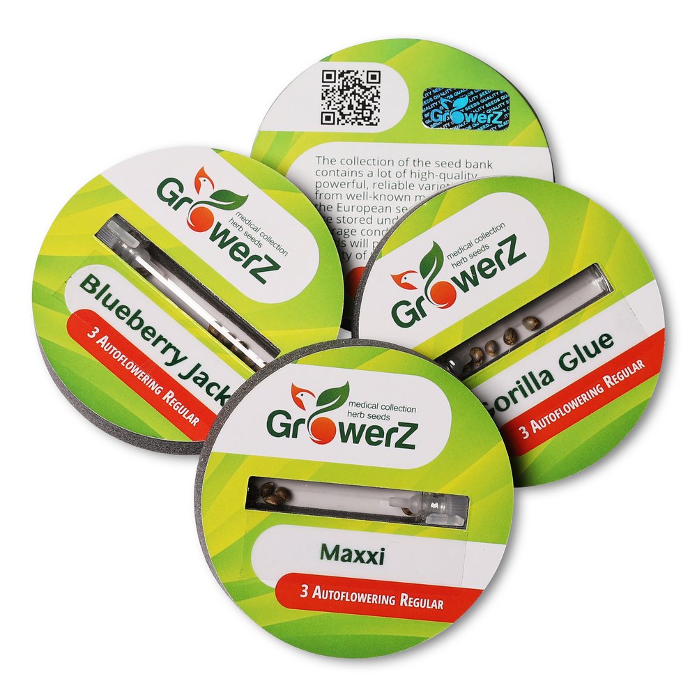 Семена марихуаны сорт Maxxi Auto Reg. Семена марихуаны сорт Maxxi Auto Reg.