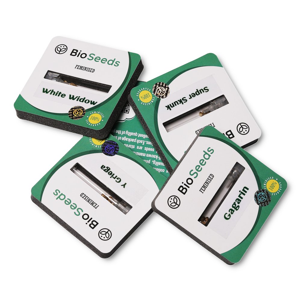 Семена марихуаны сорт White Widow Fem. Семена марихуаны сорт White Widow Fem.