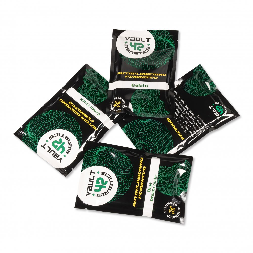 Семена марихуаны сорт Blackberry Auto Fem. Семена марихуаны сорт Blackberry Auto Fem.