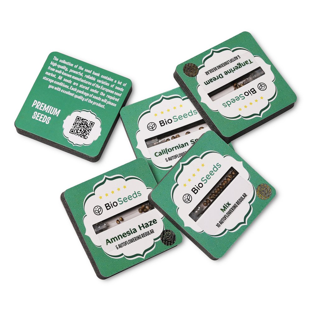 Семена марихуаны сорт Cheese Auto Reg. Семена марихуаны сорт Cheese Auto Reg.