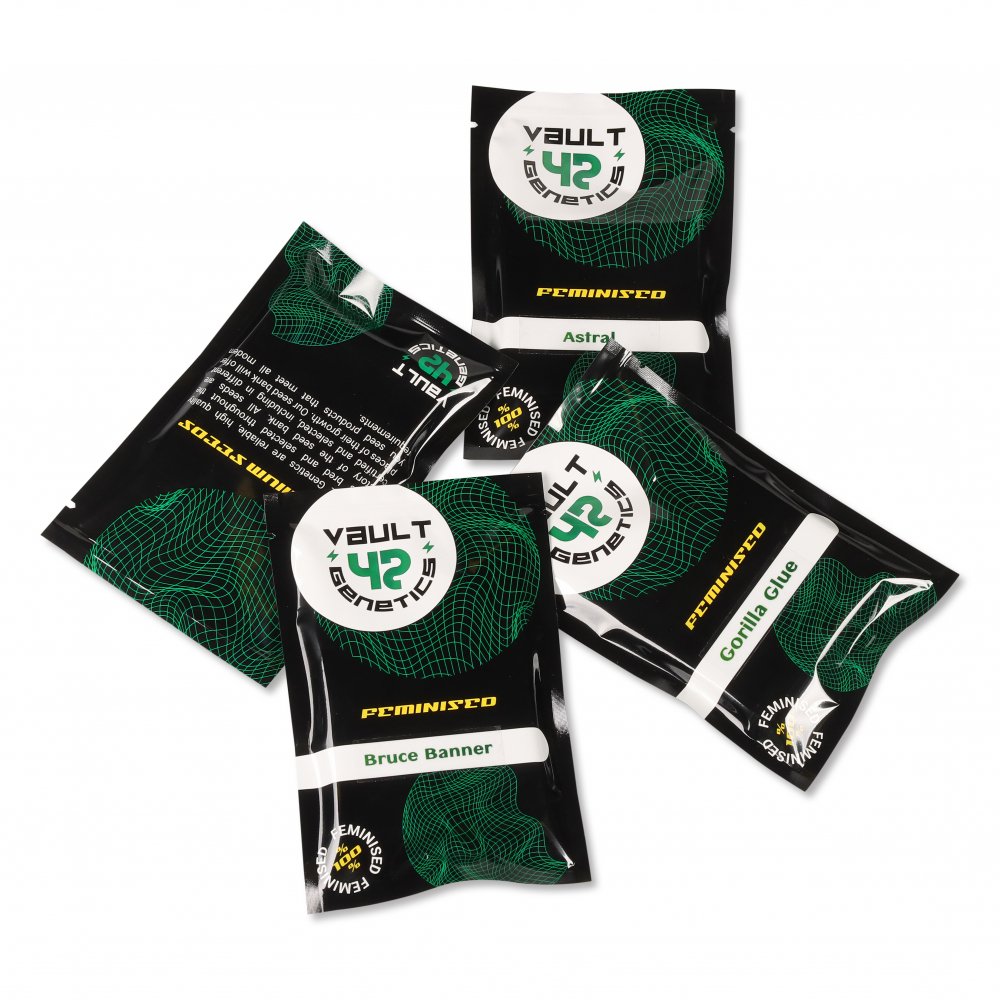 Семена марихуаны сорт Godfather OG Fem. Семена марихуаны сорт Godfather OG Fem.