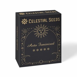 Семена марихуаны сорт Astral Auto Fem. Семена марихуаны сорт Astral Auto Fem.