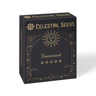 Семена марихуаны сорт Gorilla Glue #4 Fem. Семена марихуаны сорт Gorilla Glue #4 Fem.